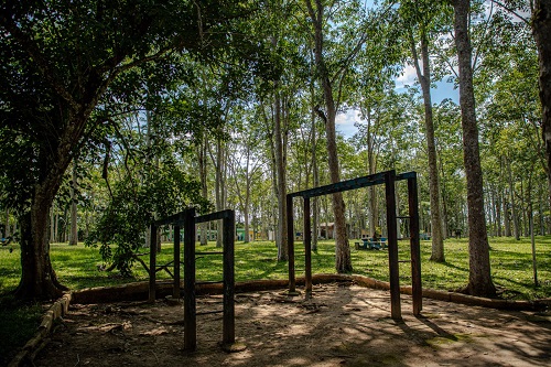 BEM-ESTAR: Parque Circuito terá aulão de yoga no dia 30 de julho