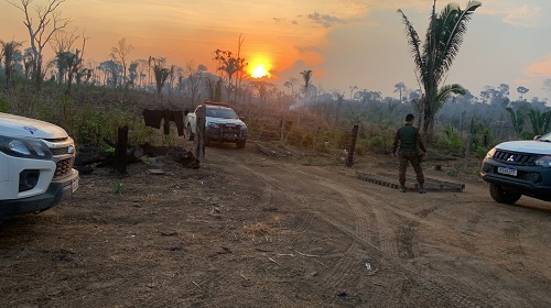 Em mais de 18 dias de Operação, contando com a fase de mobilização, instalação e execução das ações no Parque Estadual Guajará-Mirim, a Operação Mapinguari avança com seu efetivo no terreno a ser desocupado, visando concluir a ordem judicial do Tribunal de Justiça. Na vasta área de 200 mil hectares do Parque, o planejamento da Operação foi construído objetivando um avanço eficiente e eficaz na região a ser desocupada. O Comandante da Operação, tenente-coronel Adenilson Chagas, explica que o trabalho multi-agência tem facilitado o cumprimento rápido da desocupação, além das ações construídas antes do início da Operação: “Tivemos meses antes do início dessa desocupação. E nesse período, foi dialogado com os invasores que estavam dentro do Parque por diversas vezes. O resultado percebido foi a saída de todos voluntariamente. E isso contribui com o serviço rápido das equipes no terreno, especialmente quando se fala em inutilização das barracas e cercas” disse o comandante. Até o presente momento, cerca de 140 estruturas dos invasores foram inutilizadas ou destruídas pelas equipes que compõem oficiais de justiça. Regiões como “Bico do Parque”, linhas 7, 8, 9, 10 e 31, “Mata Burro” e “Capivari” já foram concluídas a desocupação. “Apesar dessas áreas terem sido desocupadas, será mantido o monitoramento e fiscalização durante e após a Operação” complementa o tenente-coronel Adenilson Chagas. As áreas restantes, como “Terra Prometida”, “Terra Roxa” e “Sorriso” estão sendo desencadeadas no atual momento. Outros resultados A Operação Mapinguari tem se destacado não só pelos resultados satisfatórios, mas a forma como tem sido alcançado esses resultados, de maneira pacífica. Abordagens constantes nas linhas de acesso ao Parque Estadual têm garantido a ordem na região. Foram mais de 600 abordagens a pessoas e veículos, garantindo uma ação preventiva eficaz na área. Segue abaixo outros resultados parciais: 10 prisões em flagrante; 01 Máquina pesada apreendida; 04 Termos Circunstanciados lavrados; 165 Comunicações de ocorrências; 3 motocicletas recuperadas; 3 armas de fogo apreendidas; 37 autos de infração; Mais de R$ 24 milhões em multas; 2.027 hectares autuados. Para o comandante-geral da PMRO, coronel PM Regis Braguin, a Operação Mapinguari deve ser referenciada no âmbito estadual como a maior já realizada: “Temos a satisfação de estar participando da maior Operação Policial já realizada no Estado de Rondônia, no que diz respeito a área de atuação, como também no que tange a integração recorde de órgãos públicos participantes” disse o Comandante. O Secretário de Segurança, Defesa e Cidadania, coronel BM Felipe Vital, informa que a Operação será vista como exemplo para outras futuras que possam vir a acontecer em Rondônia: “Esse case de sucesso precisa estar registrado para que os órgãos do Estado tenham como referência para futuras demandas, caso necessite” disse. O governador do Estado de Rondônia, coronel Marcos Rocha, tem executado as pautas firmadas, em especial na segurança pública no contexto não só urbano, como também rural: “Precisamos continuar de pé, enfrentando o crime organizado e preservando nossas riquezas naturais. A Operação Mapinguari é de suma importância para o contexto amazônico em que vivemos. Com a desocupação da Unidade de Conservação, colhemos diversas vantagens, principalmente da preservação da fauna e flora, fazendo com que se potencialize as políticas de meio-ambiente no Parque Estadual” pontuou o Governador de Rondônia. Texto: Tenente-coronel PM Miranda / Lenilson Guedes Fotos: Sargento PM Roger e cabo PM Edixon