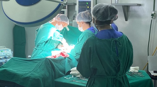 Segundo o Registro Brasileiro de Transplantes – RBT da Associação Brasileira de Transplantes de Órgãos, Rondônia teve um aumento de 122% de doadores em potencial em 2023, se tornando o primeiro estado no ranking da região Norte. No mês de conscientização de doação de órgãos, instituído como Setembro Verde, a Secretaria de Estado da Saúde – Sesau evidencia a importância do ato. A coordenadora do serviço de transplantes, Renata Restier, conta o foco da saúde nos transplantes. “O aumento expressivo das notificações de potenciais doadores e do número de doações efetivas em nosso Estado, é reflexo de um trabalho que vem sendo desenvolvido ao longo desses quase 12 anos de existência do serviço de doação de órgãos em Rondônia. Agora devemos focar em dois aspectos importantes: reduzir o número de recusa familiar e melhorar ainda mais a qualidade do nosso processo de trabalho”, explicou. Comparando-se as taxas de doação por região, as de 2019 (pré-pandemia) com as deste semestre, de janeiro a junho de 2023, não houve alteração significativa nas regiões Sul (aumentou 0,3%) e Nordeste (diminuiu 1,5%) e aumentou nas regiões Sudeste (7,1%), Centro-Oeste (14%) e Norte (57%), segundo dados do RBT. Para o governador de Rondônia, Marcos Rocha, este resultado é reflexo do trabalho que vem sendo desenvolvido, por meio das ações da Secretaria de Estado da Saúde. “A doação de órgãos é um gesto de amor e o tema é fortalecido com o Setembro Verde é uma campanha alusiva ao Dia Nacional da Doação de Órgãos, que incentiva o debate sobre a doação e o transplante de órgãos”, disse o governador, destacando que neste ano, o Estado se tornou o primeiro da região Norte a realizar transplante de tecido ósseo, na unidade referência em atendimento de média e alta complexidade, Hospital de Base Dr. Ary Pinheiro. SERVIÇO Desde a criação do serviço de transplantes em Rondônia, em 2014, já foram realizados 793 transplantes e captações. Atualmente, são mais de 100 pacientes que aguardam na fila para o transplante de tecido ósseo e com o início do serviço, haverá agilidade nos atendimentos. Todo o material para o procedimento, como ossos, tendões, meniscos e cartilagens, será fornecido pelo banco de tecidos do Instituto Nacional de Traumatologia e Ortopedia – Into. SETEMBRO VERDE Instituído como mês verde, setembro se tornou o símbolo nacional da importância da doação de órgãos, diante disso, a Sesau promove durante a campanha, ações nas unidades de saúde de conscientização para a população e servidores, com o objetivo de estimular a conversa entre familiares para o consentimento da doação. No Brasil, a pessoa não precisa deixar nada escrito, em nenhum documento, basta informar à família sobre o desejo. O procedimento só ocorre depois da autorização da família. Nesse caso, os órgãos que podem ser doados são, fígado, rins, córneas, pâncreas, intestino, ossos, pele, coração, pulmão. O doador voluntário, ainda em vida, também pode doar um dos rins, parte do fígado, medula óssea ou parte do pulmão, para pessoas de até quarto grau de parentesco e cônjuges. Segundo o Ministério da Saúde – MS, o Brasil possui o maior programa público de transplantes no mundo. Os pacientes recebem assistência integral e gratuita, incluindo exames preparatórios, cirurgia, acompanhamento e medicamentos pós-transplante, financiado pelo Sistema Único de Saúde (SUS). O secretário de Estado da Saúde, Jefferson Rocha destacou sobre a importância da população ser conscientizada. “A nobreza em ajudar ao próximo vem com a empatia, estamos trabalhando com campanhas e capacitações nas unidades, a fim de que os profissionais tenham oportunidade de salvar vidas.”, ressaltou. Fonte Texto: Lara Lívia Fotos: Breno Villar Secom - Governo de Rondônia