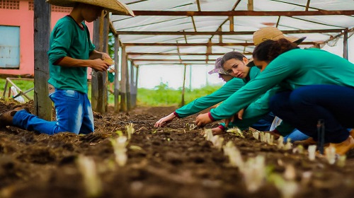 Com o objetivo de fomentar a agricultura em Rondônia, o deputado estadual Alan Queiroz (Podemos) solicitou ao Ministério da Agricultura e Pecuária (Mapa), durante sua agenda parlamentar em Brasília, investimentos nas agroindústrias familiares como estratégia vital para o desenvolvimento econômico e social das comunidades rurais do estado. A solicitação é de suma importância para a agroindústria estadual, visto que Rondônia se destaca no cenário regional pelo seu protagonismo no agronegócio, liderando a produção de grãos como soja, feijão, arroz, milho, café, além de atividades como piscicultura, suinocultura, avicultura, pecuária de corte e leiteira. Entretanto, existe um desafio crucial: a carência de agroindústrias para transformar essa rica matéria-prima em produtos finais, promovendo oportunidades e renda local. O programa "Invest Rondônia" se destaca como resposta a esse desafio, sendo uma Política de Incentivo ao Desenvolvimento Industrial e Agroindustrial do estado. Com uma abordagem abrangente, o programa implementa uma série de iniciativas, incluindo incentivos tributários e suporte técnico e profissional aos empresários, tudo isso em busca de atrair investimentos para o próspero setor agroindustrial. Diante desse contexto, compreende-se que o fomento às agroindústrias familiares é crucial para potencializar a transformação da matéria-prima produzida. Apenas a produção e venda de insumos não são suficientes para gerar o necessário valor agregado, oportunidades e aumento de renda para os agricultores. A solicitação ao Ministério da Agricultura e Pecuária visa investir em agroindústrias familiares como estratégia vital para o desenvolvimento econômico e social de Rondônia. Considerando a vocação natural dos municípios para o agronegócio e a infraestrutura existente, o estado está pronto para expandir e atrair novos negócios, colocando-o no radar dos investimentos no Brasil. De acordo com o deputado Alan Queiroz, investir em agroindústrias familiares é crucial para o desenvolvimento econômico e social de Rondônia. “Diante das potencialidades do estado, buscamos o investimento do Ministério da Agricultura e Pecuária nas agroindústrias familiares como estratégia para fortalecer as comunidades rurais”, disse. Por fim, é importante direcionar esforços e investimentos para o setor agroindustrial, não apenas como um impulsionador econômico, mas como um meio de promover sustentabilidade, oportunidades e qualidade de vida às comunidades rurais de Rondônia. Texto: Ian Machado | Assessoria parlamentar Foto: Assessoria parlamentar