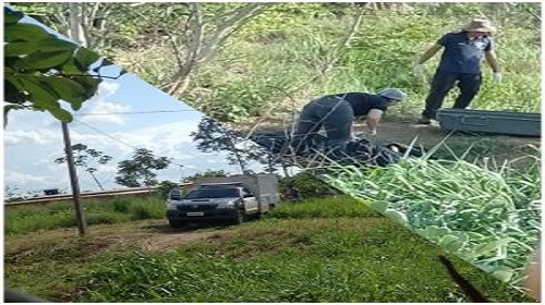 Policiais militares do 6º Batalhão da Polícia Militar, em Guajará-Mirim, foram informados que uma senhora encontrou o corpo de um homem, na fundiária do seu terreno. Ela relatou aos policiais que ao procurar seu animal porca (suíno) em uma pequena área de mata no fundo do seu terreno, localizou em uma poça de água um corpo que aparentemente estava sem cabeça. A perícia técnica da POLITEC compareceu no local e ao verificar o corpo constatou que o crânio estava submerso ao solo. O corpo ainda não identificado me foi encaminhado para o Instituto Médico Legal, em Porto Velho para ser analisado, identificado e constatar a causa da morte. Segundo a perícia, o corpo apresentava marcas de perfuração nas contas, lado esquerdo e aparentemente ocasionadas por faca. O crime ainda é desconhecido e ficou a cargo da Polícia Judiciária os trabalhos de investigação e esclarecimentos do homicídio. P5/6°BPM
