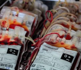 A última coleta de sangue itinerante realizada pela Fundação de Hematologia e Hemoterapia de Rondônia (Fhemeron), no município de Guajará-Mirim, acontecerá no sábado (8) e domingo (9) de dezembro. A coleta de sangue será realizada no prédio da Fhemeron, situada na Avenida XV de Novembro com Avenida Porto Carreiro, nº 1.299, Centro. A ação ocorrerá na sexta-feira (8), das 7h30 às 19h, e no sábado, das 7h30 às 16h. SOLIDARIEDADE Além de facilitar o acesso dos voluntários à prática da doação de sangue, a coleta externa representa uma estratégia para manter estabilizado o estoque de sangue, é o que destaca a responsável pela coleta, a assistente social Maria Luíza Pereira. “Esta será a última coleta itinerante do ano, a qual visa às doações. Trazer a coleta para o município do doador significa salvar vidas. A coleta itinerante é a oportunidade do cidadão fazer o bem e salvar vidas”, evidenciou. CRITÉRIOS PARA DOAR – Estar em boas condições de saúde; – Estar descansado, por pelo menos 6h nas últimas 24h; – É necessário ter entre 16 e 69 anos completos. Menores de idade com autorização e presença do responsável legal; – O doador deve pesar no mínimo 50 quilos, estar alimentado e evitar alimentação gordurosa, aguardar 3h após o almoço; – Homem pode doar até quatro vezes ao ano, em intervalos de 60 dias; – Mulher pode doar até três vezes ao ano, com intervalos de 90 dias; – Para quem doa é obrigatório apresentar documento de identificação com fotografia, emitido por órgão oficial. IMPEDIMENTOS TEMPORÁRIOS – Estar gripado ou com febre; – Estar grávida ou amamentando; – Estar em tratamento médico; – Ter ingerido bebida alcoólica no dia da doação (12 horas); – Ter tatuagem feita há menos de um ano; – Ter realizado maquiagem definitiva ou micropigmentação; – Ter realizado tratamento de acupuntura nos últimos doze meses; – Ter recebido transfusão de sangue e seus derivados há menos de um ano; – Ter feito endoscopia digestiva nos últimos seis meses; – Ter tido malária nos últimos doze meses; IMPEDIMENTOS DEFINITIVOS – Ter tido doença de Chagas; – Ter tido hepatite após os 11 anos de idade; – Ter sido exposto à situação ou comportamento que levem a risco, acrescido para Infecções Sexualmente Transmissíveis – IST. Fonte Texto: Minerva Soto Fotos: Minerva Soto/Daiane Mendonça Secom - Governo de Rondônia
