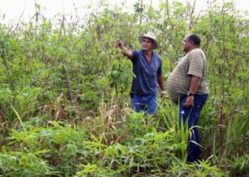 SEMAGRIC: Município dá suporte para controle de pragas em propriedade rural no ramal São Sebastião