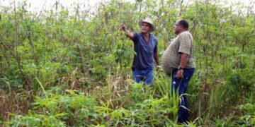 SEMAGRIC: Município dá suporte para controle de pragas em propriedade rural no ramal São Sebastião