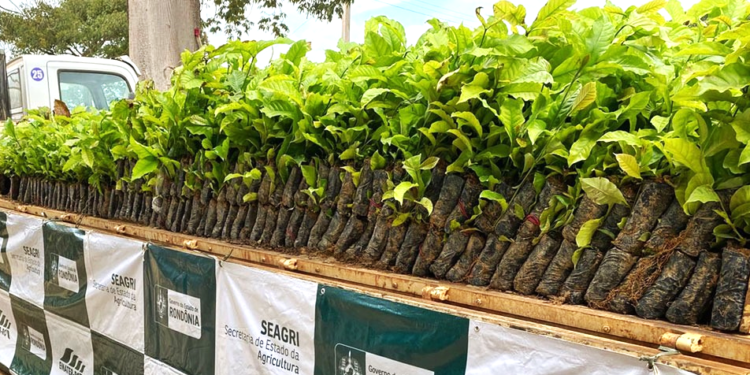 Por meio do Plante Mais, Alan Queiroz busca fortalecer a agricultura em Rondônia