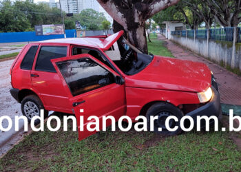 Veículo colide em árvore