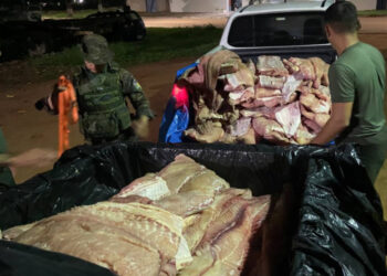 COMERCIANTE É PRESO POR TRANSPORTAR ILEGALMENTE UMA TONELADA DE PIRARUCU NO VALE DO GUAPORÉ