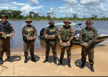 POLÍCIA MILITAR APREENDE TRACAJÁS, REDES E ARMAS EM OPERAÇÃO AMBIENTAL NO RIO GUAPORÉ