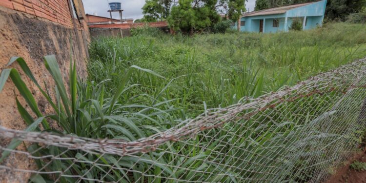 Atualização:Departamento de Postura da Prefeitura segue com fiscalização de terrenos baldios