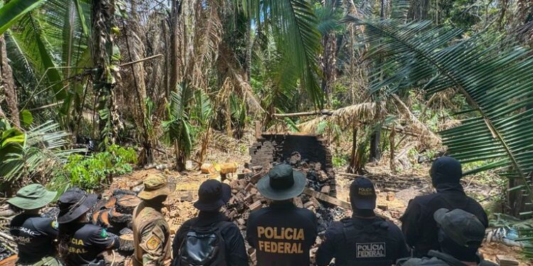 PF deflagra operação em combate a crimes ambientais em Rondônia