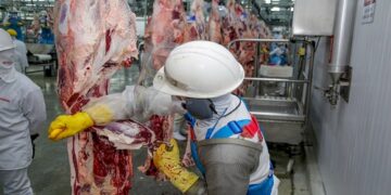 Rondônia recebe autorização para exportar carne bovina ao Canadá