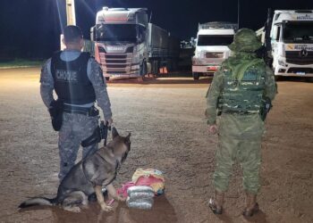 BPFRON-CANIL: Mulher é presa com droga dentro de ônibus.