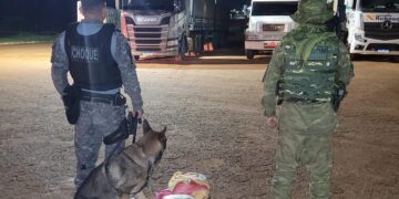 BPFRON-CANIL: Mulher é presa com droga dentro de ônibus.