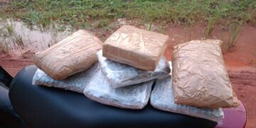 BATALHÃO DE POLÍCIA AMBIENTAL APREENDE MAIS DE TRÊS QUILOS DE DROGAS