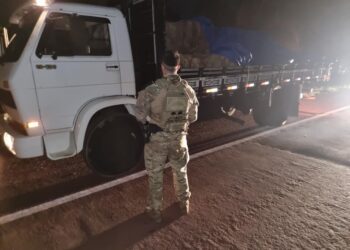 PF apreende 164 kg de cocaína e 196 kg de maconha