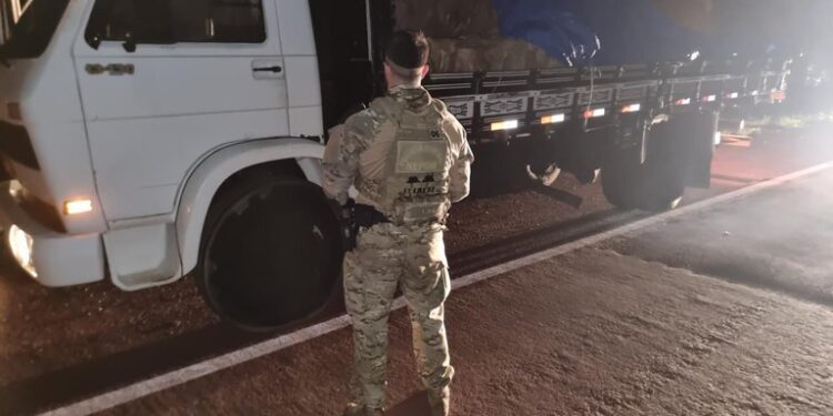 PF apreende 164 kg de cocaína e 196 kg de maconha