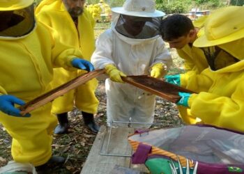 Prefeitura de Porto Velho e Senar realizam o 1º Encontro de Apicultores do Norte de Rondônia