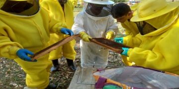 Prefeitura de Porto Velho e Senar realizam o 1º Encontro de Apicultores do Norte de Rondônia