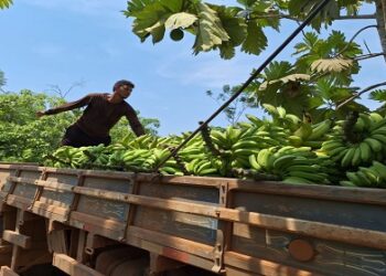 PRODUTORES RURAIS: Prefeitura convoca associações cooperativas e entidades ligadas ao campo para recadastramento