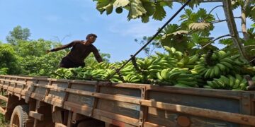 PRODUTORES RURAIS: Prefeitura convoca associações cooperativas e entidades ligadas ao campo para recadastramento