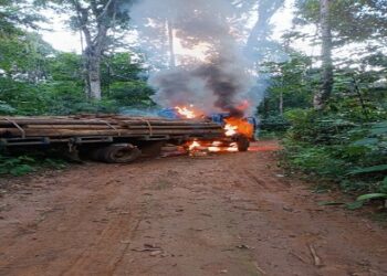 RO: PF deflagra operação para combater crimes ambientais em reservas indígenas