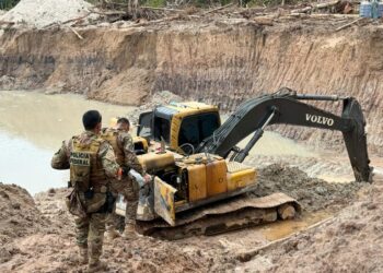 PF desmobiliza garimpo ilegal em unidade de conservação no sul do Amazonas