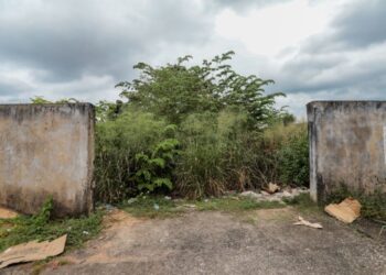 Prefeitura de Porto Velho notifica proprietários de terrenos baldios para que realizem a limpeza dos imóveis