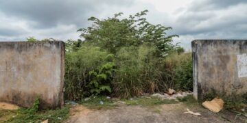 Prefeitura de Porto Velho notifica proprietários de terrenos baldios para que realizem a limpeza dos imóveis