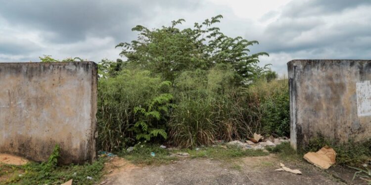 Prefeitura de Porto Velho notifica proprietários de terrenos baldios para que realizem a limpeza dos imóveis