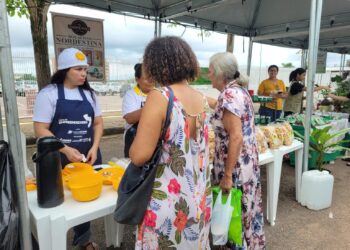 Feira de Empreendedores impulsiona economia local e incentiva empreendedores a divulgarem seus produtos