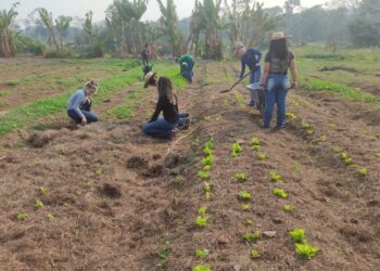 Alan Queiroz demanda recursos para Escolas Agrícolas em Rondônia