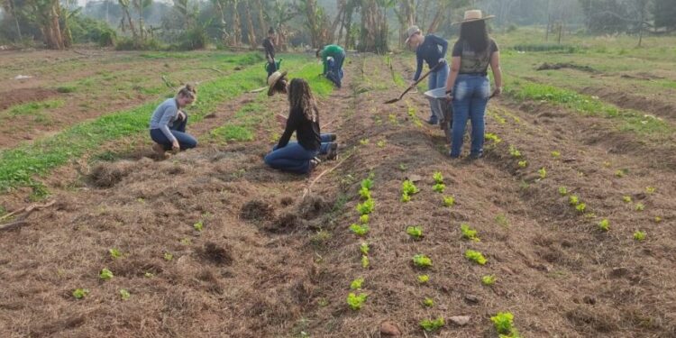 Alan Queiroz demanda recursos para Escolas Agrícolas em Rondônia