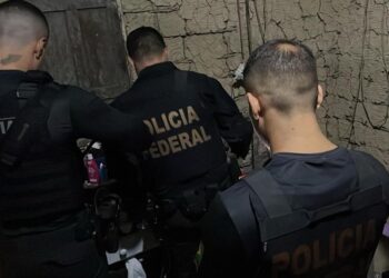 PF prende homem em flagrante por abuso sexual infantil