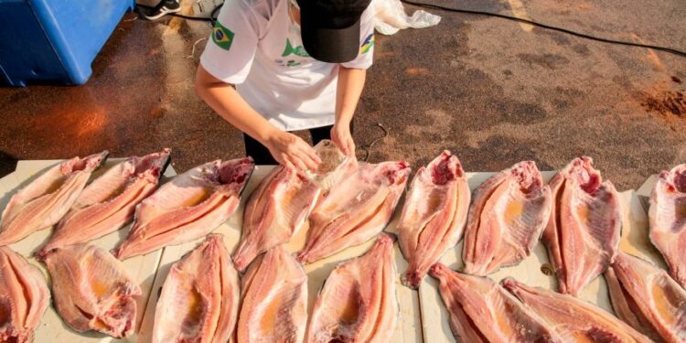 Para fortalecer as exportações, Governo de RO apresenta Tambaqui nos Estados Unidos da América