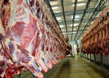 Exportações de carne bovina crescem e ultrapassam 960 milhões de dólares em Rondônia