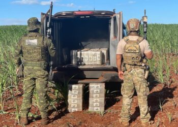 PF e BPFRON apreendem 250 kg de maconha