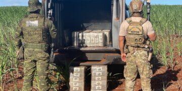 PF e BPFRON apreendem 250 kg de maconha