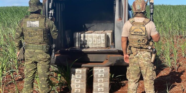 PF e BPFRON apreendem 250 kg de maconha