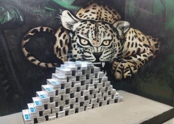 POLÍCIA MILITAR REALIZA APREENSÃO DE CIGARROS CONTRABANDEADOS DURANTE A OPERAÇÃO PROTETOR DAS FRONTEIRAS E DIVISAS