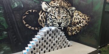 POLÍCIA MILITAR REALIZA APREENSÃO DE CIGARROS CONTRABANDEADOS DURANTE A OPERAÇÃO PROTETOR DAS FRONTEIRAS E DIVISAS