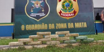 HOMEM É PRESO NO INTERIOR DE RONDÔNIA COM 14 QUILOS DE COCAÍNA
