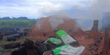 OPERAÇÃO DE FISCALIZAÇÃO AMBIENTAL EM CANDEIAS DO JAMARI REVELA IRREGULARIDADES EM CARVOARIAS