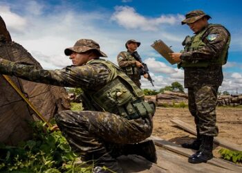 Rondônia tem redução de mais de 80% no número de crimes ambientais