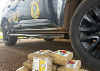 PRF apreende quase 11 kg de skunk (supermaconha) em Porto Velho/RO