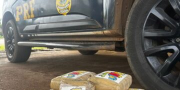 PRF apreende quase 11 kg de skunk (supermaconha) em Porto Velho/RO