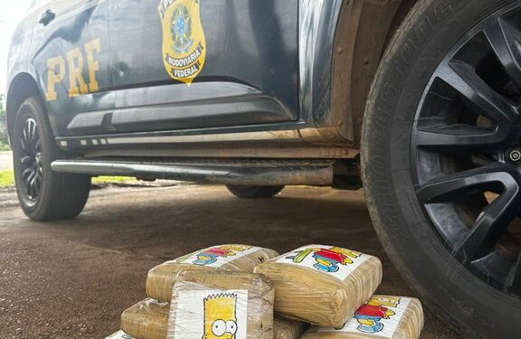 PRF apreende quase 11 kg de skunk (supermaconha) em Porto Velho/RO