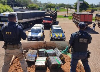 Em maior apreensão do ano, PRF e PM apreendem 12 toneladas de maconha em Jardim (MS)