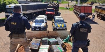 Em maior apreensão do ano, PRF e PM apreendem 12 toneladas de maconha em Jardim (MS)