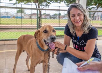 Prefeitura de Porto Velho entrega castramóvel e Samu Pet, oferecendo serviços veterinários públicos