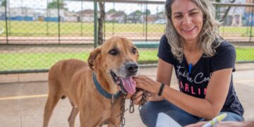 Prefeitura de Porto Velho entrega castramóvel e Samu Pet, oferecendo serviços veterinários públicos